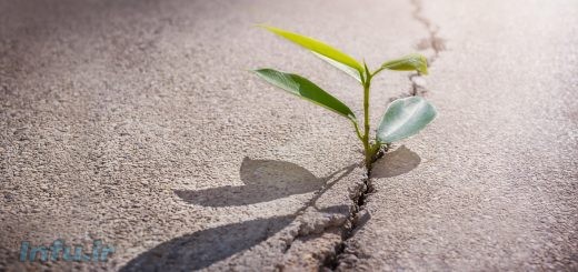 امید به زندگی