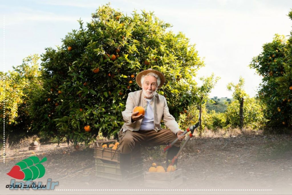 کود مناسب مرکبات