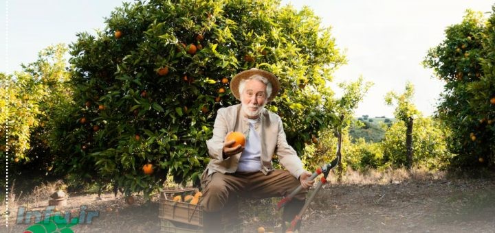 کود مناسب مرکبات