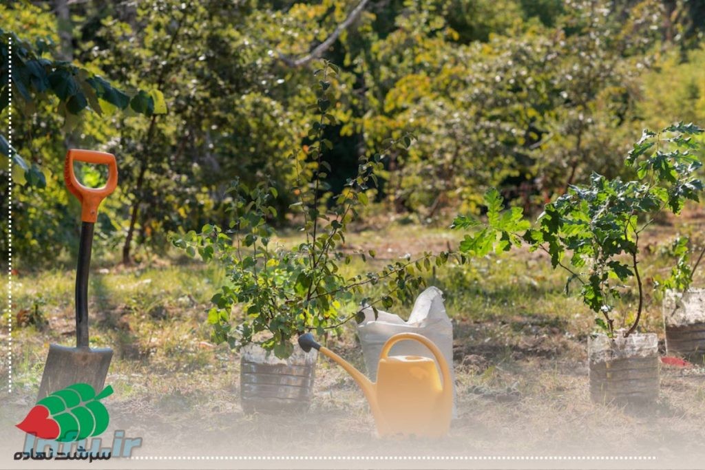 کود مناسب فصل پاییز