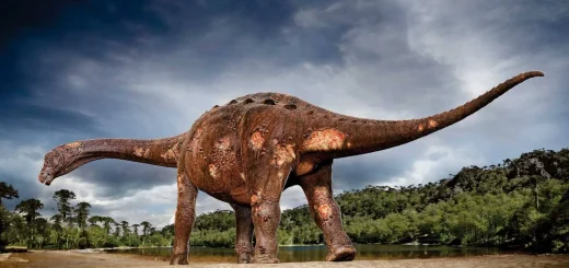 چگونه به وجود دايناسورها پي برده اند ؟