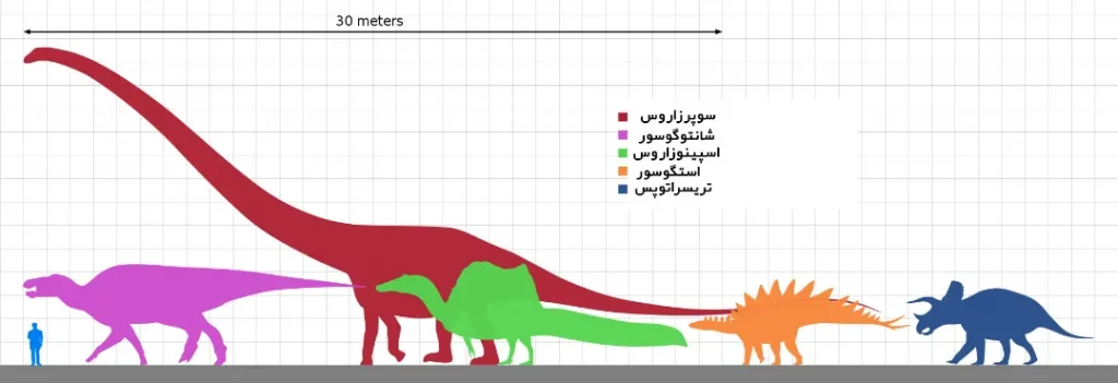 مقایسه‌‌ی اندازه‌ی گروه‌های مختلف دایناسورهای گوشتخوار و گیاه‌خوار با یک انسان متوسط.